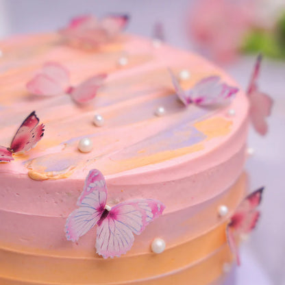 Ombre cake - Colorful cake